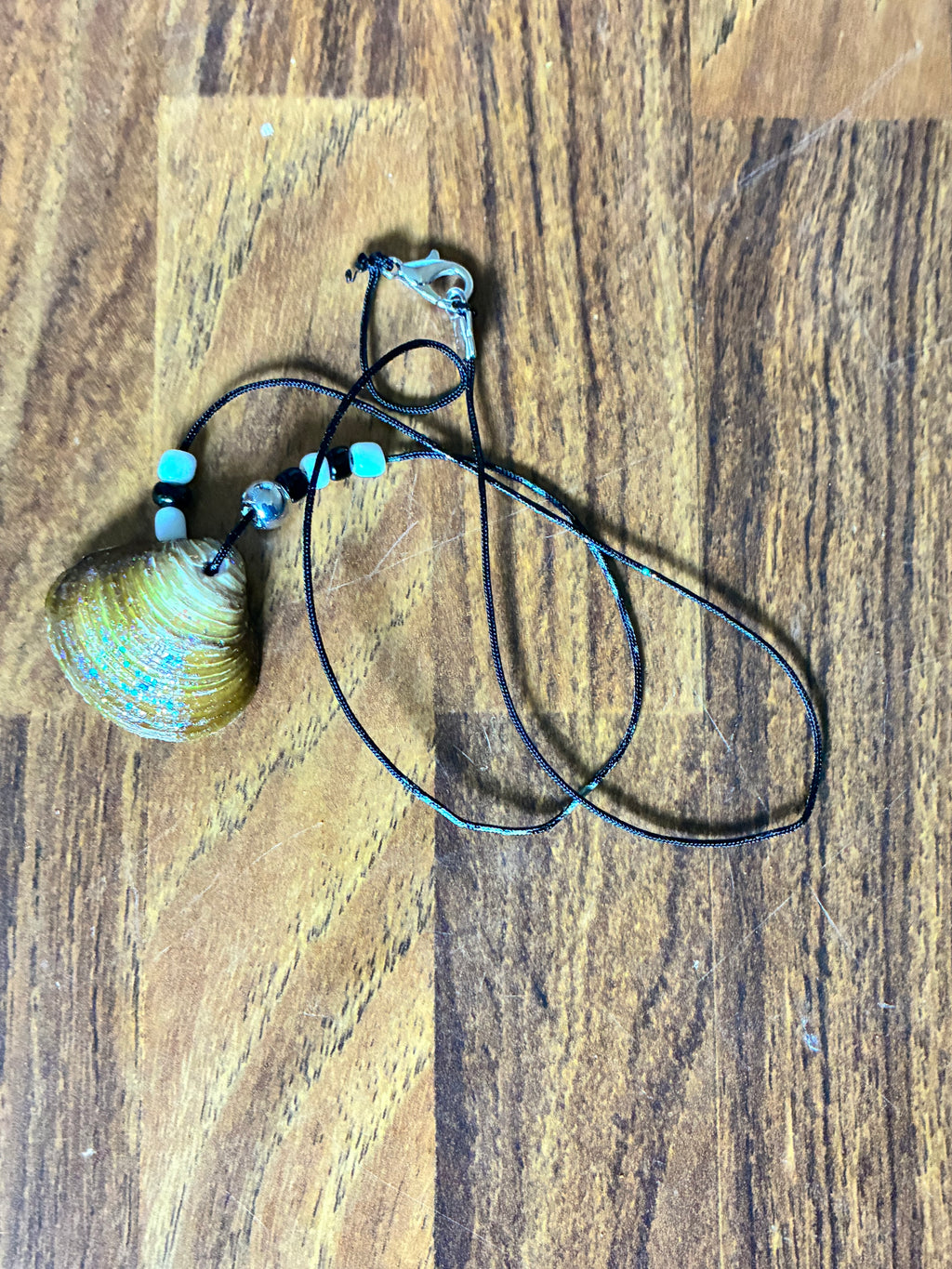 Single Shell Pendant Necklace — OMB Family Farms