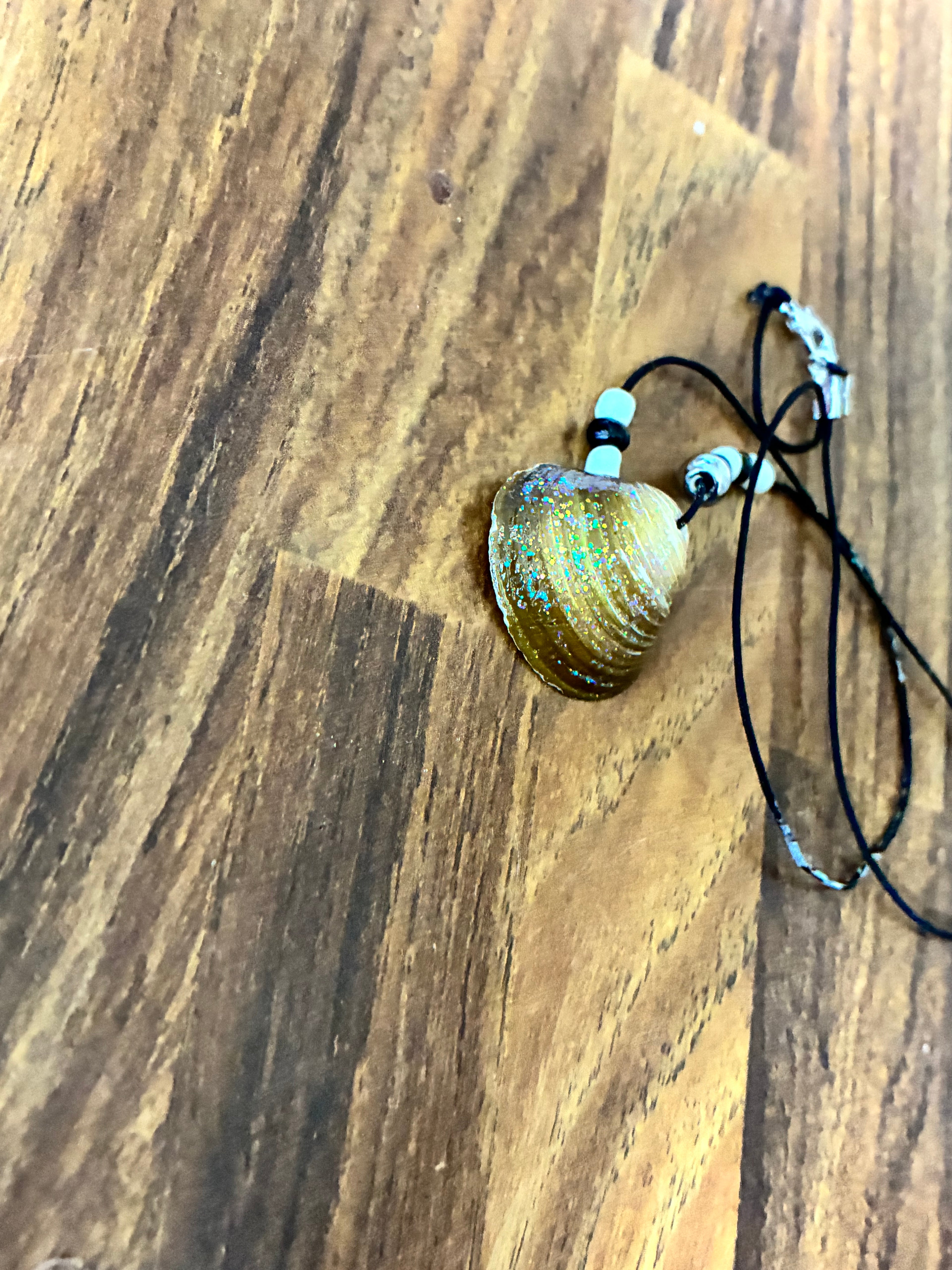 Single Shell Pendant Necklace — OMB Family Farms